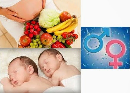 makanan yang menentukan jenis kelamin bayi laki laki atau perempuan